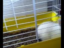20112008001.mp4 20112008001.mp4