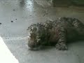 Surprise!