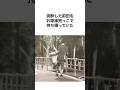 【モテすぎやんwww】前田敦子の元カレ達 #雑学 #shorts #前田敦子 #akb48