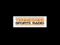 Bruce Pearl's son does radio ad mocking backyard barbeque incident that led to his dad's firing from Tennessee.