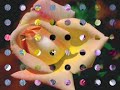 aquarozes-are-red-dum-di-da-di-da.html
