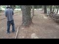 Click here to watch this video Slash VXL race and bash at Pines Raceway 5/17/2012