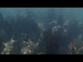 FILE0075