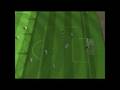 What happens when u dont defend right on FIFA 09 Online