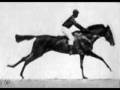 Cabalgata (ejercicio de animacion con paint)