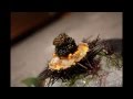 Waku Ghin, Singapore - YouTube