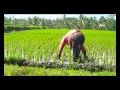 Bali: The Best Tourist Destination In Indonesia