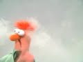 Beaker has coffee.