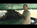Behind the Scenes of TOUCH! Amazing Rays & Sharks