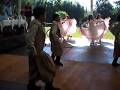 videos de grupo de dança mirim