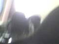videos de Maca tasaora de traseros XD