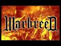 Ver Video