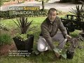 Wayside Gardens Gardening Tips - Dynamic Color