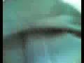 Video Bokep - ABG SMU ML sambil berdiri