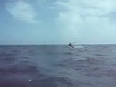 videos Surf