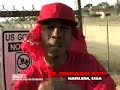 EL DORADO RED - FREESTYLE