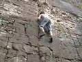Jordan Hall free climb 2