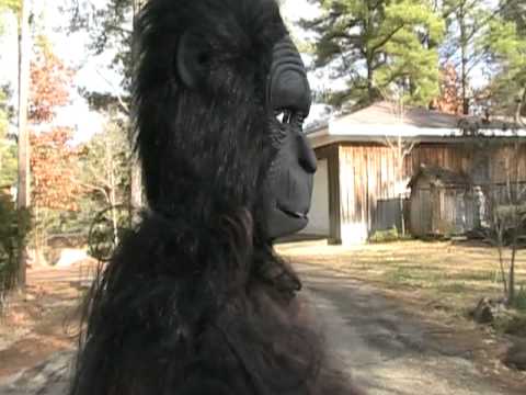 User submitted video