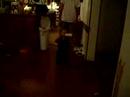 jaidon walking jaidon walking