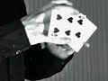 Exclusive \"Flourishes\" Trilogy Trailer
