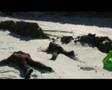 EQP in da snow 2007 - TRAILER