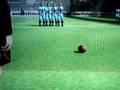 videos de gool