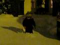 videos de Dylan Snow