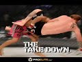 Frank Shamrock MMA 101