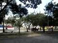 policias recogen guarimba en valencia