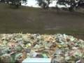 videos de first back flip atempt