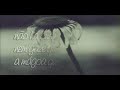 Poesia - Curativo Poesia - Curativo