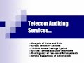 Telecom Auditing and Bill Management Services