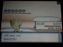 Pokemon Battle D/P 1: lJLeeRSX