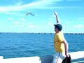 Bird Fishing