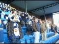 Gamle Gress - Fans Strømsgodset of Tippeligaen. Godset at Marienlyst Stadium, Drammen