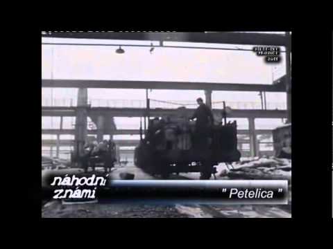 Video Petelica