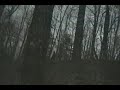 linked-image
