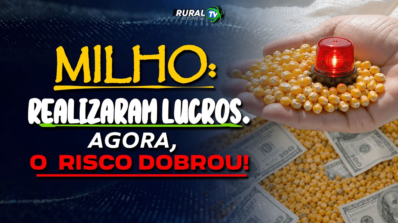 MILHO: REALIZARAM LUCROS. AGORA, O RISCO DOBROU!