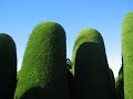 Antarctica 07: Punta Arenas Cemetary