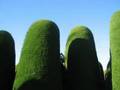 Antarctica 07: Punta Arenas Cemetary