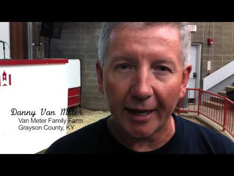 how to grow strawberries in ky