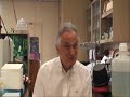 on january 31st, cutting edge talk show conducted an interview with dr. steven clarke, a world authority on age-related protein damage and repair.
dr. clarke's major interest is understanding the biochemistry of the aging process. he is particularly interested in the generation of age-damaged proteins by spontaneous chemical reactions and the physiological role of cellular enzymes that can reverse at least some portion of the damage.
for over thirty years his laboratory focused its efforts on the degradation of aspartic acid and asparagine residues and the subsequent metabolism of their racemized and isomerized derivatives. his laboratory is presently determining the biological role of protein methyltransferases that can initiate the conversion of d-aspartyl residues to the l-configuration as well as the conversion of isopeptide linkages to normal peptide bonds. such 