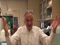 on january 31st, cutting edge talk show conducted an interview with dr. steven clarke, a world authority on age-related protein damage and repair.
dr. clarke's major interest is understanding the biochemistry of the aging process. he is particularly interested in the generation of age-damaged proteins by spontaneous chemical reactions and the physiological role of cellular enzymes that can reverse at least some portion of the damage.
for over thirty years his laboratory focused its efforts on the degradation of aspartic acid and asparagine residues and the subsequent metabolism of their racemized and isomerized derivatives. his laboratory is presently determining the biological role of protein methyltransferases that can initiate the conversion of d-aspartyl residues to the l-configuration as well as the conversion of isopeptide linkages to normal peptide bonds. such 