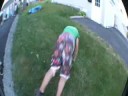 The dog zapper