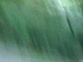 videos de COMEPIEDRA DEL CERRO 2 .MP4