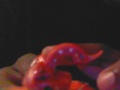 the original drago 600g pyrus my early present