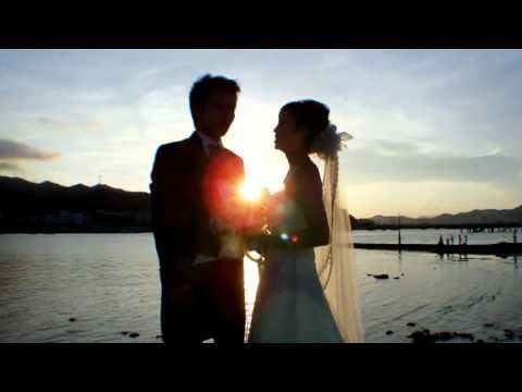 how to fall in love dvd