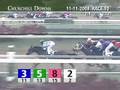 CHURCHILL DOWNS, 2008-11-11, Race 10