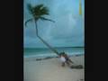 videos de Carelia & sus Amigos en Punta Cana