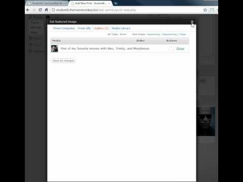 how to nivo slider wordpress